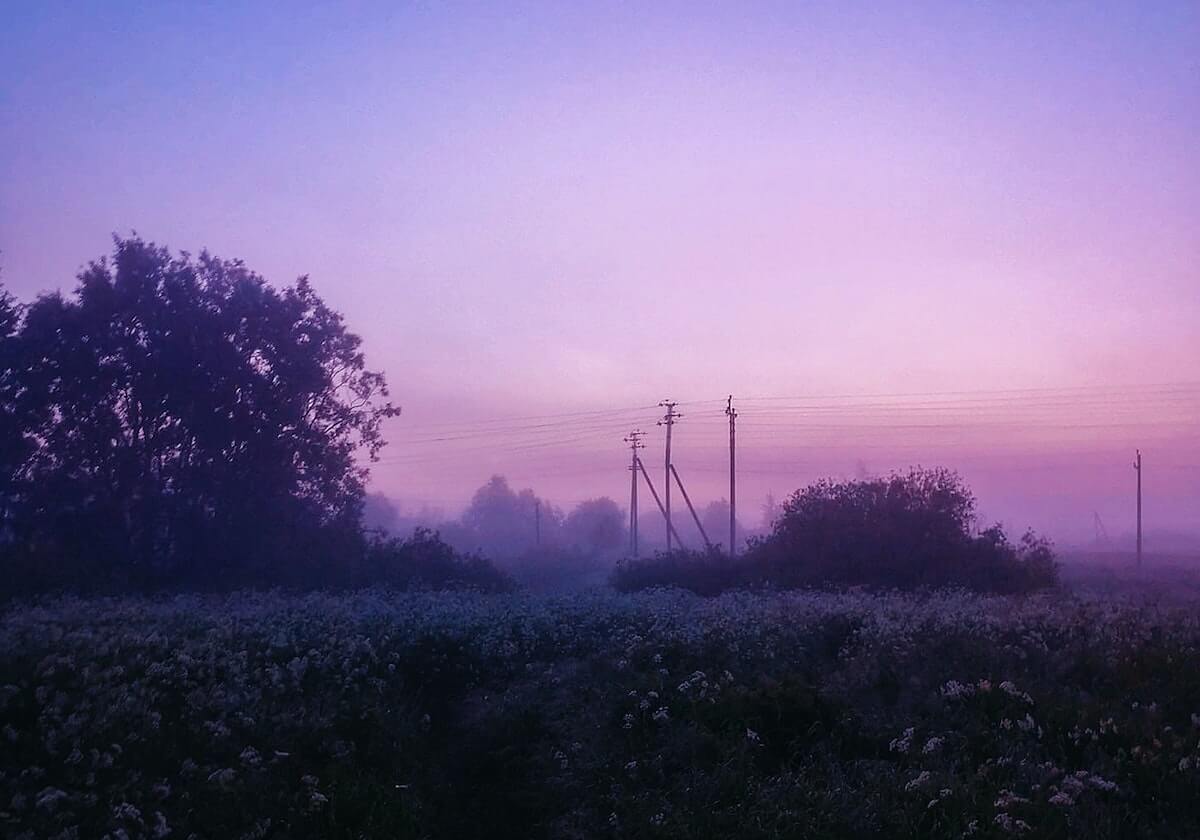 道崽闪现突进佩恩戈娅，狼队三人打出戈娅掉点